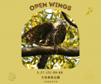 Open Wings 賞鷹趣 - 2022年5月賞鷹解說活動歡迎參加